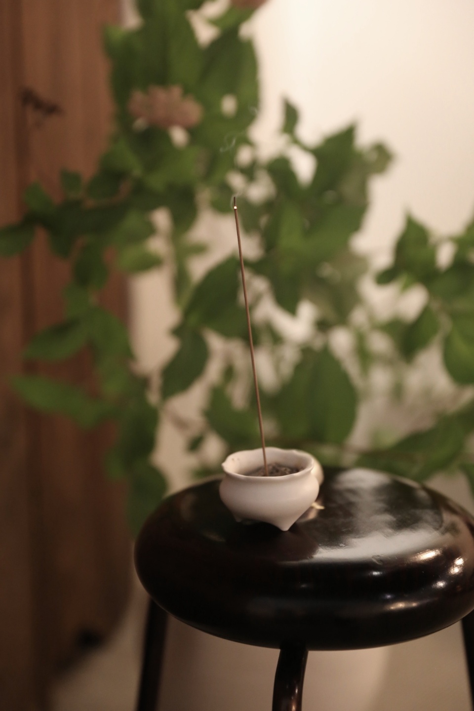 visit 대표이미지