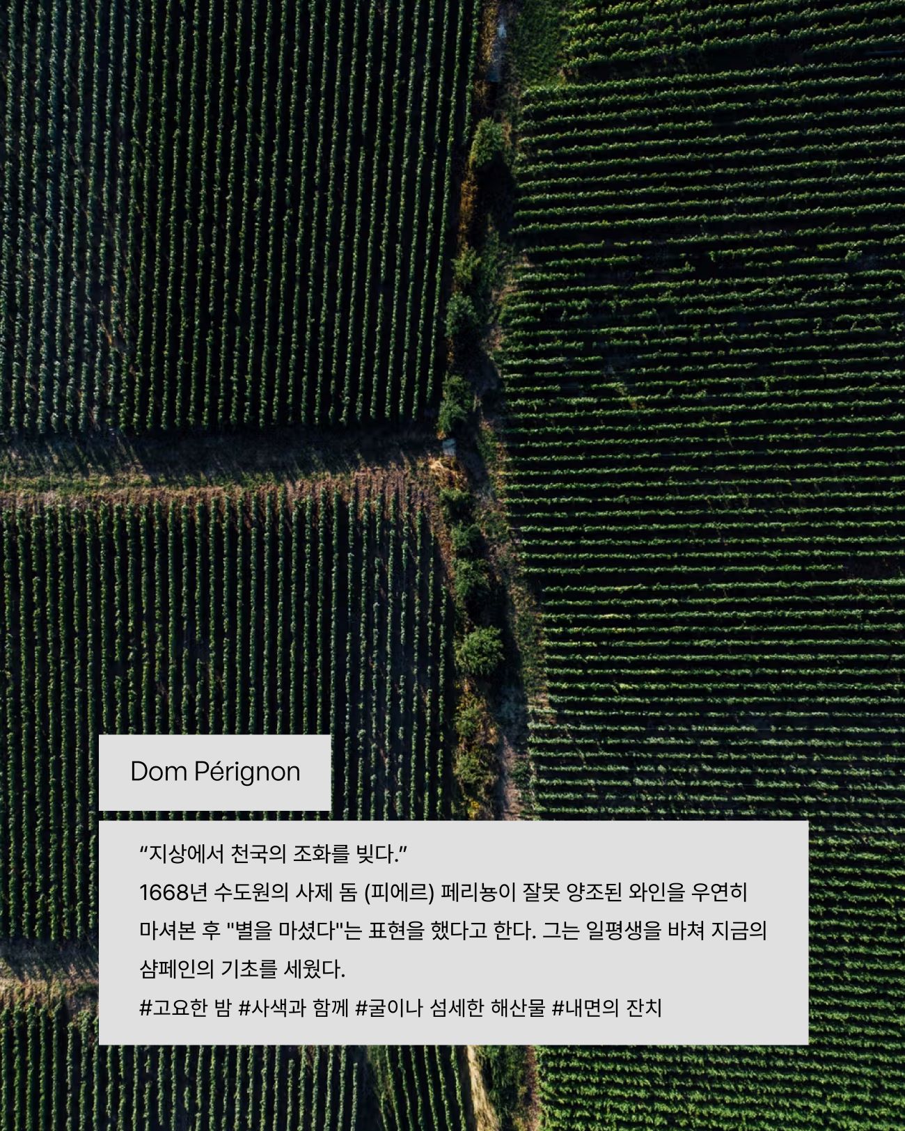 visit 대표이미지
