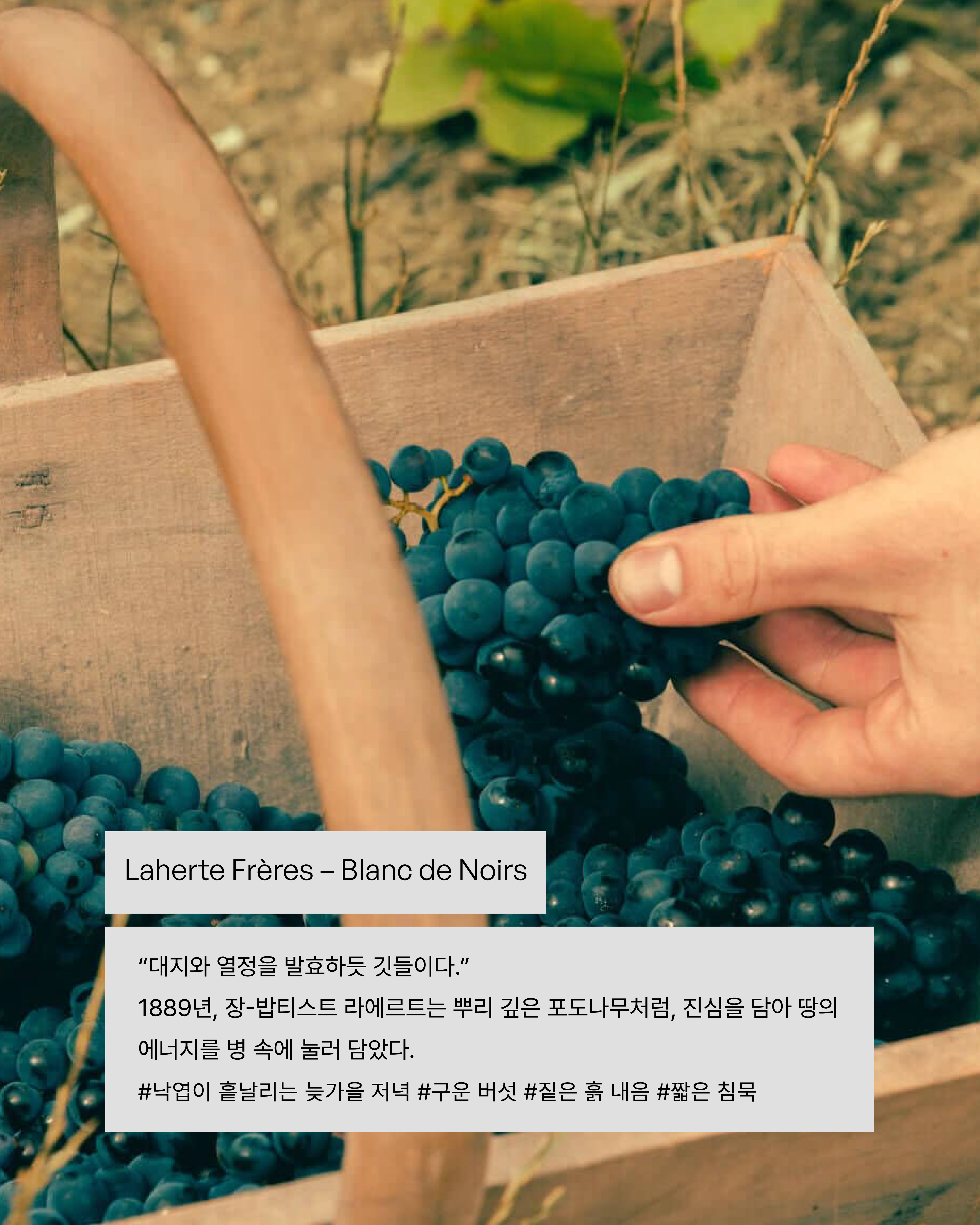 visit 대표이미지