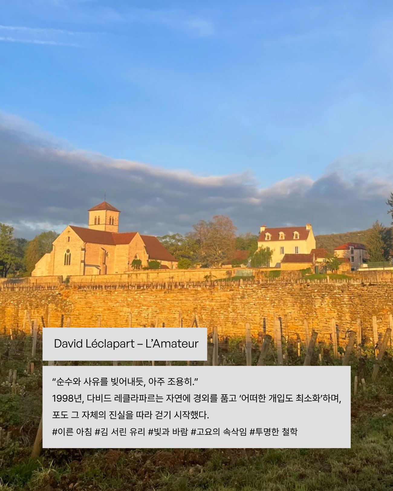 visit 대표이미지