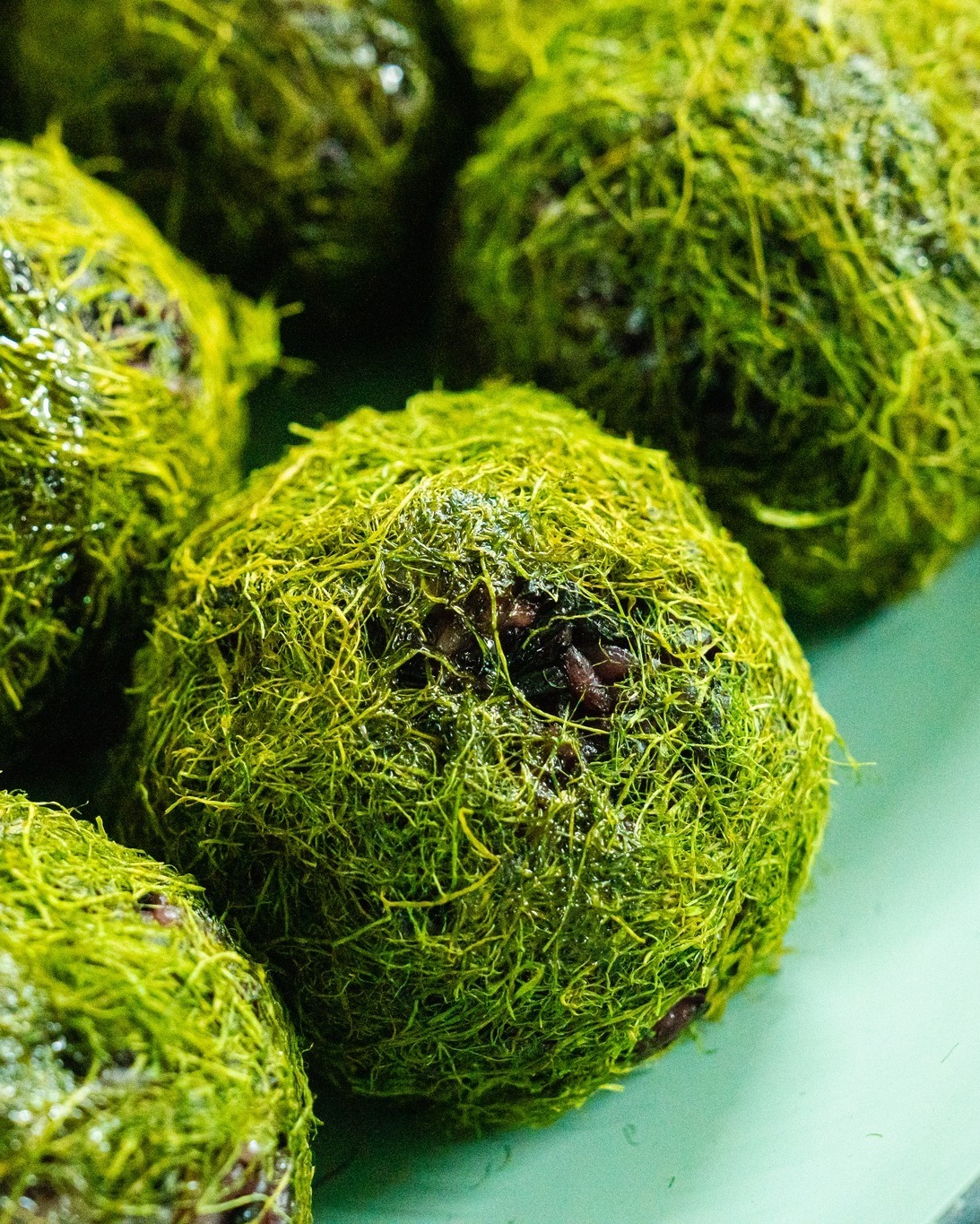 visit 대표이미지