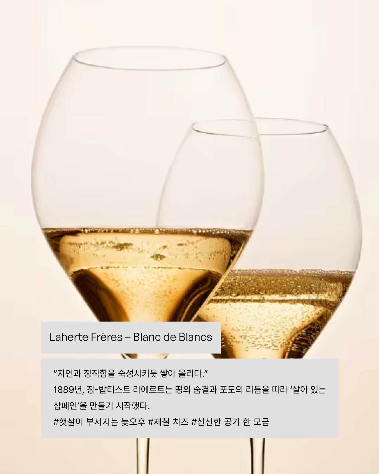 visit 대표이미지